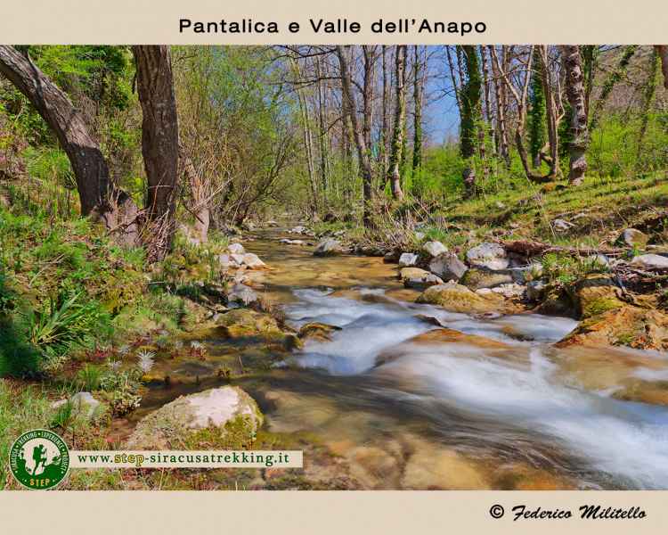 Valle dell